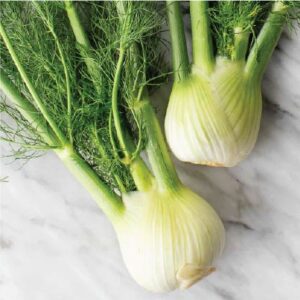 Fennel