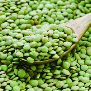 Green Lentils