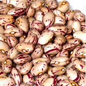 Tiger Beans