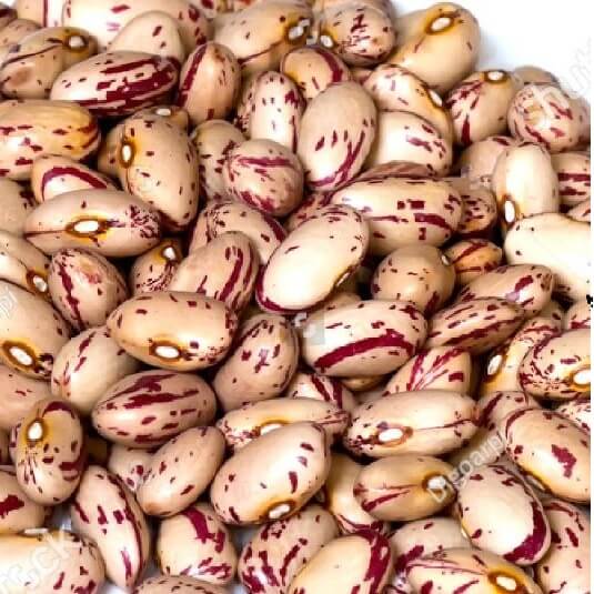 Tiger Beans